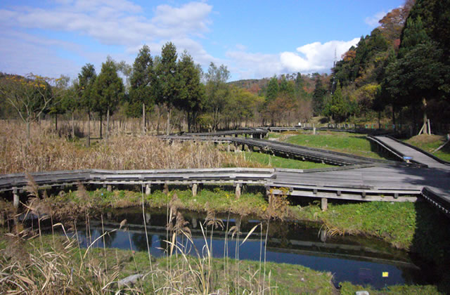 中池見湿地